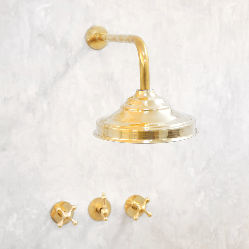 Classic Brass Shower Head and Handheld Assembly - BRASSMA