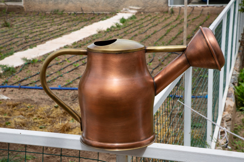 Vintage Aesthetic Copper Watering Can