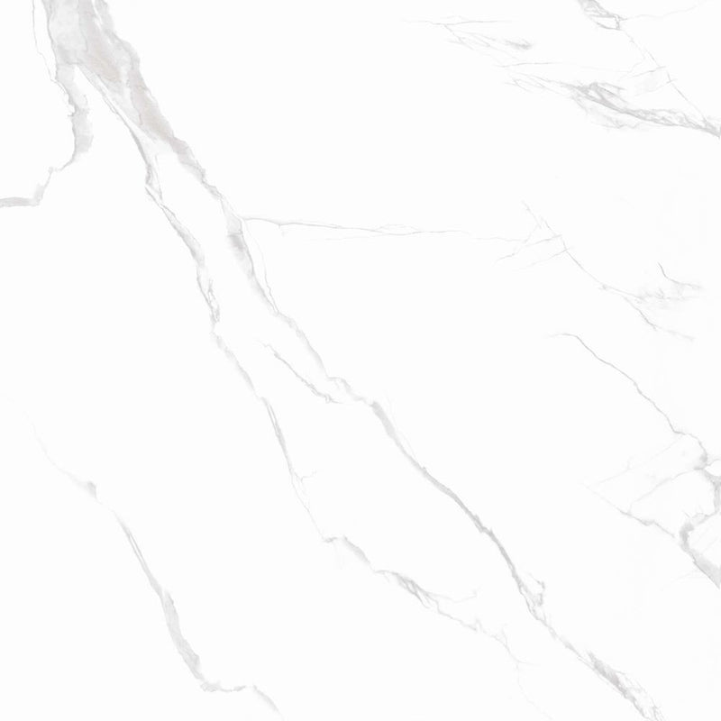 Classic Carrara Silver Glossy Rectified Porcelain Wall and Floor Tile
