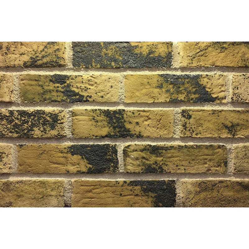 Sahtas Nature Brick Stone Siding Platinium Traditional Series-3